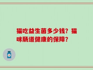 猫吃益生菌多少钱？猫咪肠道健康的保障？