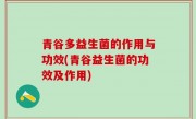 青谷多益生菌的作用与功效(青谷益生菌的功效及作用)