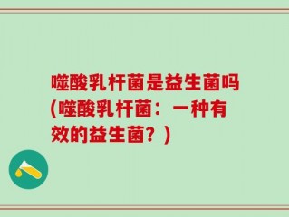 噬酸乳杆菌是益生菌吗(噬酸乳杆菌：一种有效的益生菌？)