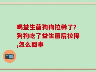 喝益生菌狗狗拉稀了？狗狗吃了益生菌后拉稀,怎么回事
