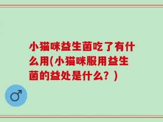 小猫咪益生菌吃了有什么用(小猫咪服用益生菌的益处是什么？)