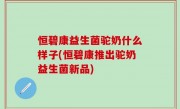 恒碧康益生菌驼奶什么样子(恒碧康推出驼奶益生菌新品)