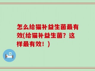 怎么给猫补益生菌最有效(给猫补益生菌？这样最有效！)