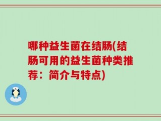 哪种益生菌在结肠(结肠可用的益生菌种类推荐：简介与特点)