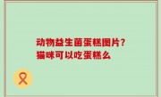 动物益生菌蛋糕图片？猫咪可以吃蛋糕么