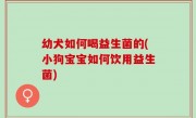 幼犬如何喝益生菌的(小狗宝宝如何饮用益生菌)