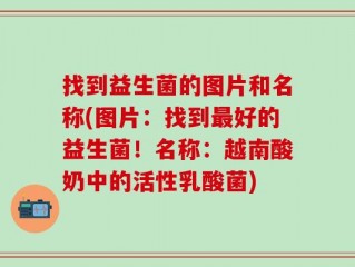 找到益生菌的图片和名称(图片：找到最好的益生菌！名称：越南酸奶中的活性乳酸菌)