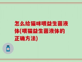 怎么给猫咪喂益生菌液体(喂猫益生菌液体的正确方法)