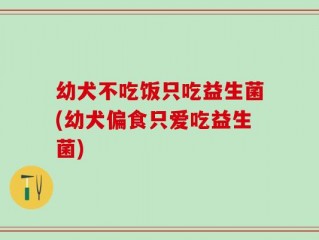 幼犬不吃饭只吃益生菌(幼犬偏食只爱吃益生菌)