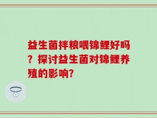 益生菌拌粮喂锦鲤好吗？探讨益生菌对锦鲤养殖的影响？