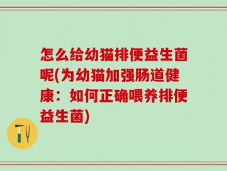 怎么给幼猫排便益生菌呢(为幼猫加强肠道健康：如何正确喂养排便益生菌)