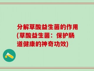 分解草酸益生菌的作用(草酸益生菌：保护肠道健康的神奇功效)