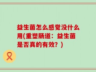 益生菌怎么感觉没什么用(重塑肠道：益生菌是否真的有效？)