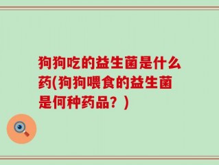 狗狗吃的益生菌是什么药(狗狗喂食的益生菌是何种药品？)
