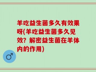 羊吃益生菌多久有效果呀(羊吃益生菌多久见效？解密益生菌在羊体内的作用)