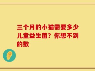三个月的小猫需要多少儿童益生菌？你想不到的数