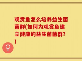 观赏鱼怎么培养益生菌菌群(如何为观赏鱼建立健康的益生菌菌群？)