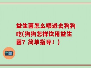 益生菌怎么喂进去狗狗吃(狗狗怎样饮用益生菌？简单指导！)