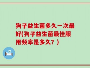 狗子益生菌多久一次最好(狗子益生菌最佳服用频率是多久？)