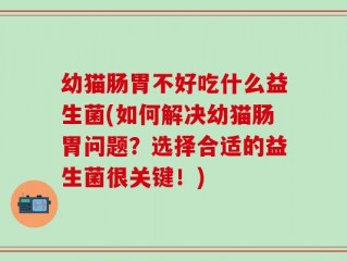 幼猫肠胃不好吃什么益生菌(如何解决幼猫肠胃问题？选择合适的益生菌很关键！)
