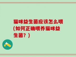 猫咪益生菌应该怎么喂(如何正确喂养猫咪益生菌？)