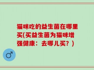 猫咪吃的益生菌在哪里买(买益生菌为猫咪增强健康：去哪儿买？)