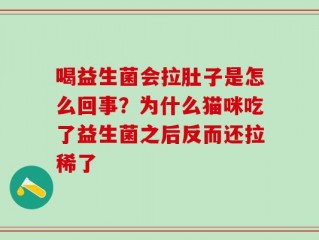 喝益生菌会拉肚子是怎么回事？为什么猫咪吃了益生菌之后反而还拉稀了