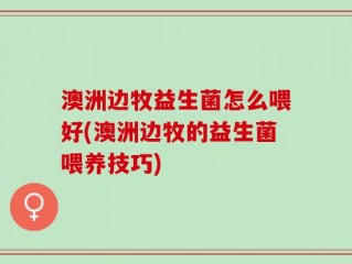 澳洲边牧益生菌怎么喂好(澳洲边牧的益生菌喂养技巧)