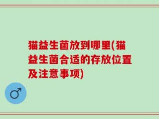 猫益生菌放到哪里(猫益生菌合适的存放位置及注意事项)