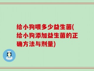 给小狗喂多少益生菌(给小狗添加益生菌的正确方法与剂量)