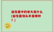 益生菌中的老大是什么(益生菌领头羊是哪种？)