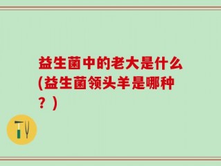 益生菌中的老大是什么(益生菌领头羊是哪种？)