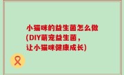小猫咪的益生菌怎么做(DIY萌宠益生菌，让小猫咪健康成长)