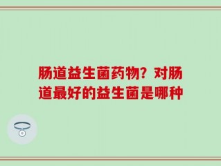肠道益生菌药物？对肠道最好的益生菌是哪种