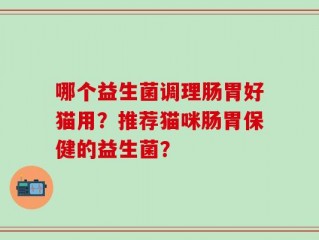 哪个益生菌调理肠胃好猫用？推荐猫咪肠胃保健的益生菌？