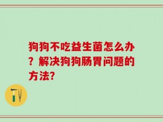 狗狗不吃益生菌怎么办？解决狗狗肠胃问题的方法？