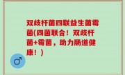 双歧杆菌四联益生菌霉菌(四菌联合！双歧杆菌+霉菌，助力肠道健康！)