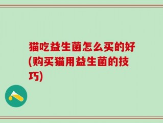 猫吃益生菌怎么买的好(购买猫用益生菌的技巧)