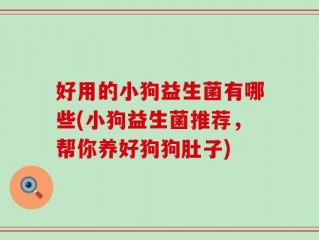 好用的小狗益生菌有哪些(小狗益生菌推荐，帮你养好狗狗肚子)