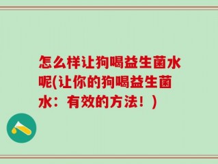 怎么样让狗喝益生菌水呢(让你的狗喝益生菌水：有效的方法！)