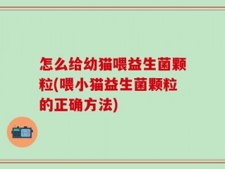 怎么给幼猫喂益生菌颗粒(喂小猫益生菌颗粒的正确方法)