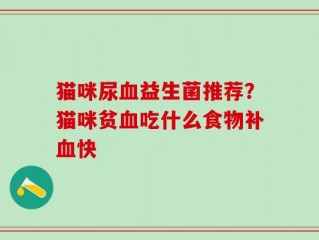 猫咪尿血益生菌推荐？猫咪贫血吃什么食物补血快