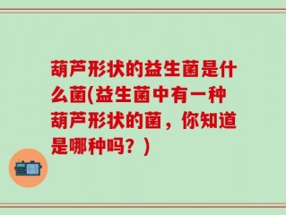 葫芦形状的益生菌是什么菌(益生菌中有一种葫芦形状的菌，你知道是哪种吗？)