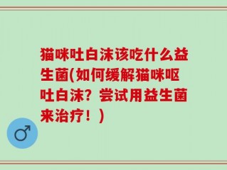猫咪吐白沫该吃什么益生菌(如何缓解猫咪呕吐白沫？尝试用益生菌来治疗！)