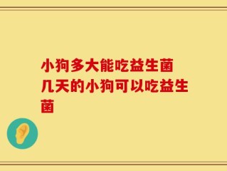 小狗多大能吃益生菌 几天的小狗可以吃益生菌