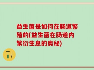 益生菌是如何在肠道繁殖的(益生菌在肠道内繁衍生息的奥秘)