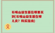 石嘴山益生菌在哪里买到(石嘴山益生菌在哪儿卖？购买指南)