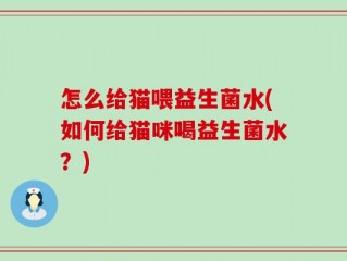 怎么给猫喂益生菌水(如何给猫咪喝益生菌水？)