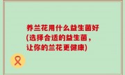 养兰花用什么益生菌好(选择合适的益生菌，让你的兰花更健康)