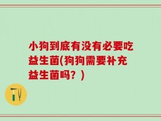 小狗到底有没有必要吃益生菌(狗狗需要补充益生菌吗？)